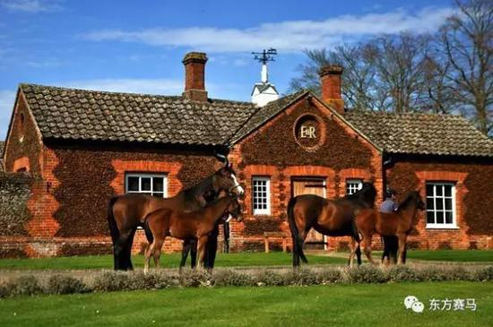 ▲图/花和尚，中间的ER II是伊丽莎白二世的标志