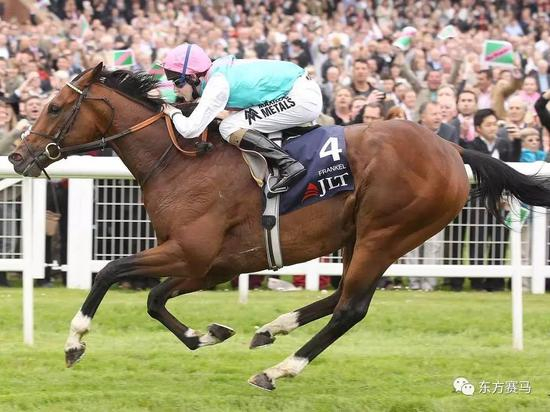 ▲图/PA，‘范高尔’