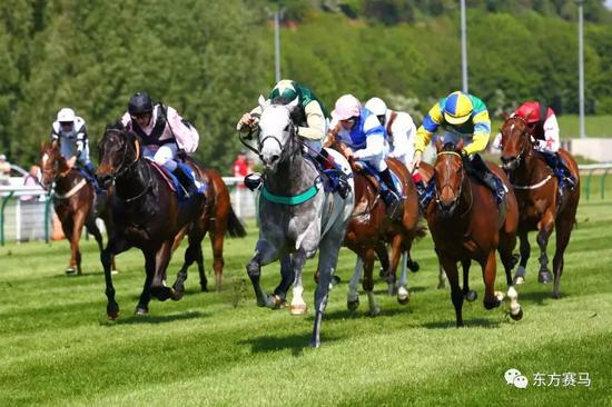 ▲图/winnersodds，纯血赛马