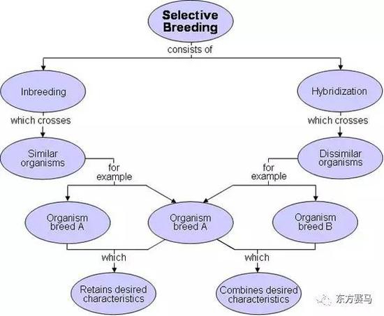 　▲图/keyword-suggestions，选择育种