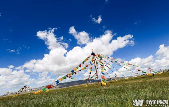 青海湖畔的金纺、蓝天和白云