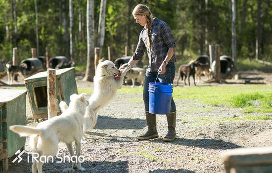 同时，和狗跑步的各种实用装备是不能少的。