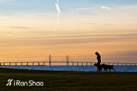 如果跑友家的狗狗没有上面问题，你就可以开始制定你们的跑步计划了。