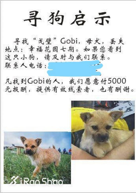 在2017年1月2日，戈壁随迪昂回到了苏格兰爱丁堡的家，加入了这个家庭，成为了家庭的一员。