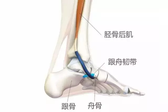 　　Photo via Runner‘s World