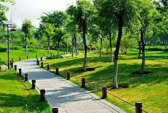 　　森林公园名不虚传，森林茂密空气清新。因为道路很像一只脚丫，很多跑友去那画脚丫，画只脚丫大概跑2.1k左右。