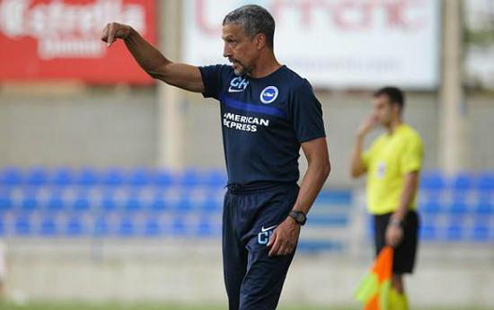 执教过纽卡斯尔和诺维奇的克里斯-休顿，拥有丰富的英超经验