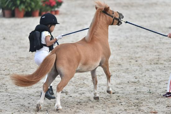 　摄影/刘志坚&nbsp;