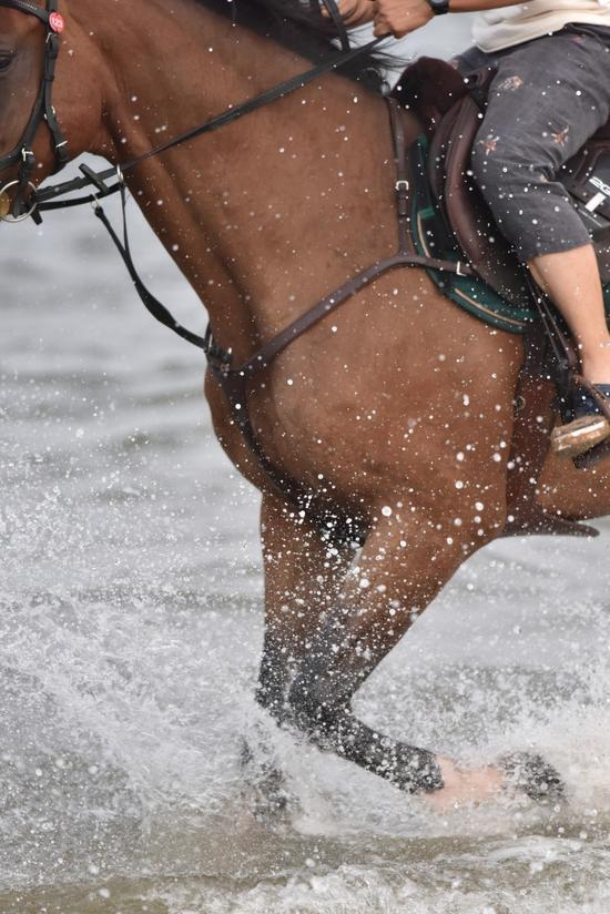 　　摄影/刘志坚&nbsp;