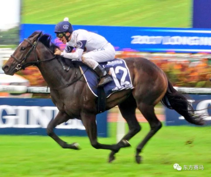 ▲图/ATC，「女王储」