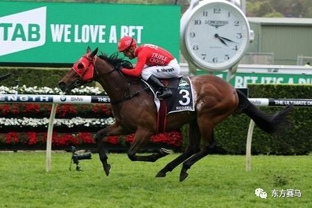 ▲图/BloodHorse，「红达时」