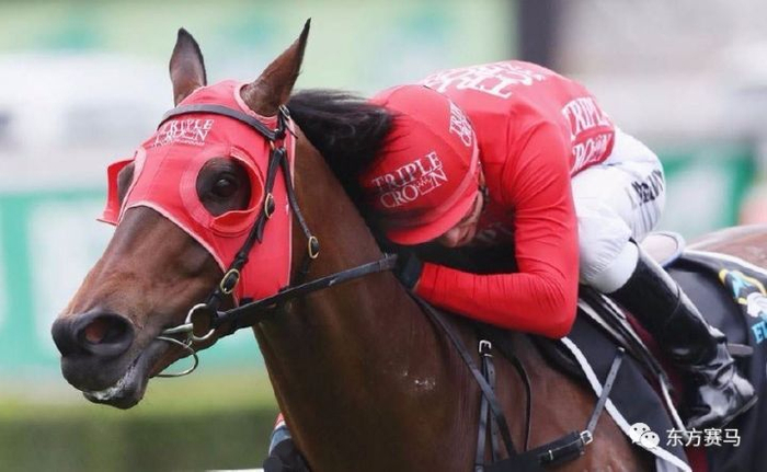 ▲图/Getty Images，「红达时」