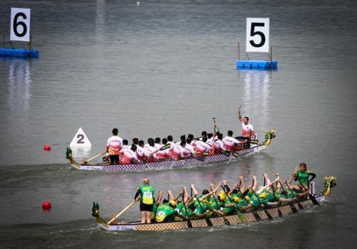 比赛现场。组委会供图