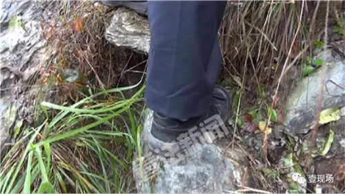 摄/法制晚报·看法新闻 记者 朱健勇