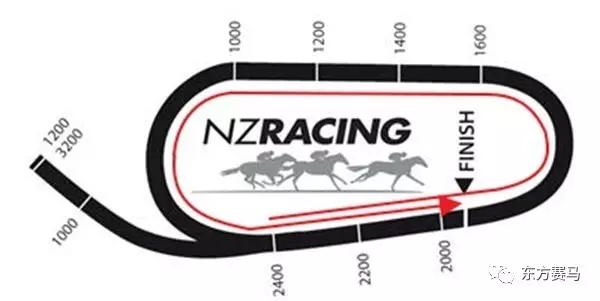 ▲图/NZRacing，特伦特姆赛场