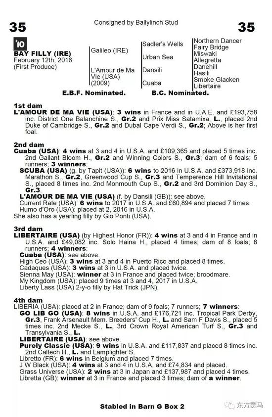 ▲图/Goffs，35号马的血统