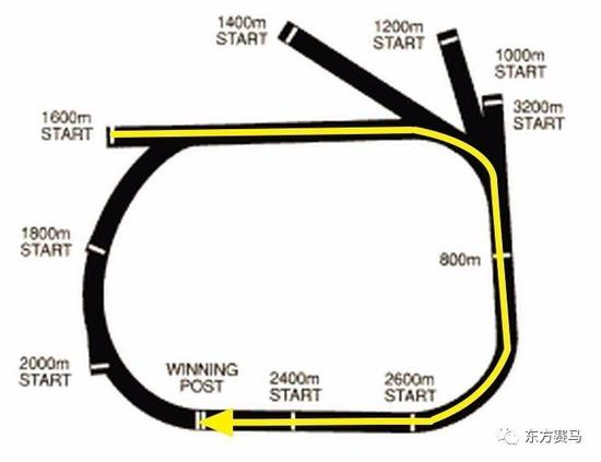 ▲图/SportsBettingAust