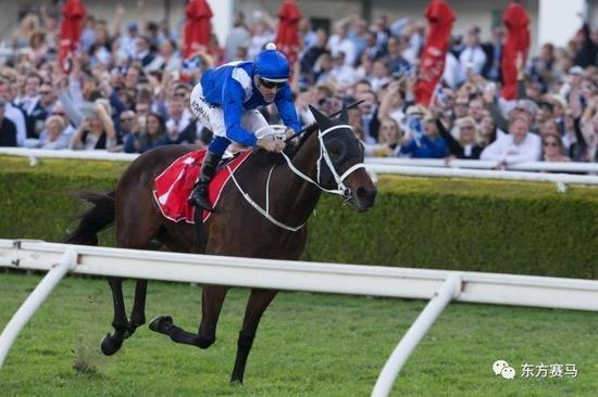 ▲图/Craig Golding，‘云丝仙子’