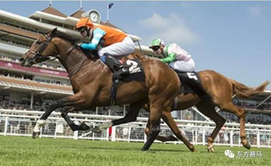 ▲图/Edward Whitaker，‘智利土著’（左）