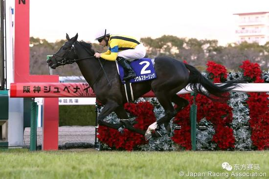 　▲图/JRA，‘震撼灵魂*’