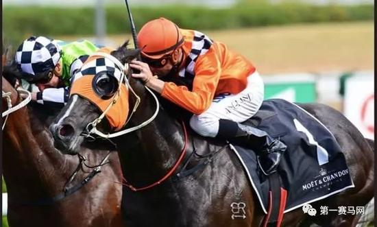 ▲“居高成王”，图片来源推特