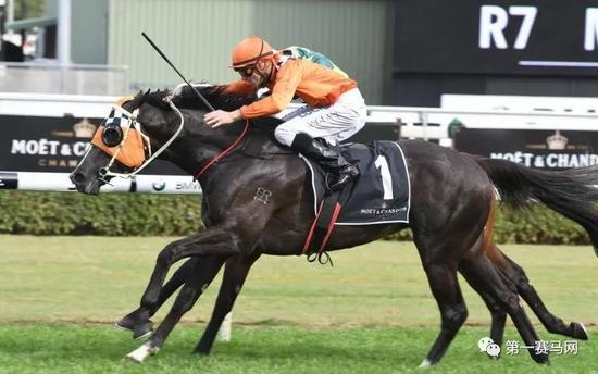 ▲“居高成王”，图片来源推特