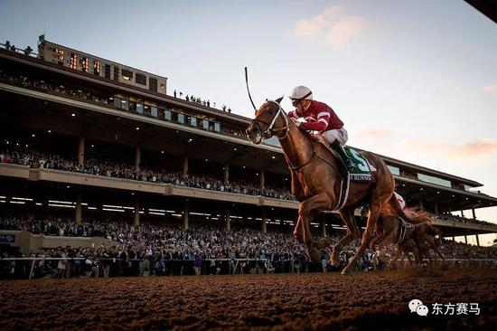 ▲图/Alex Evers，‘铤而走险’