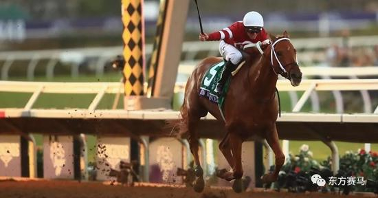 ▲图/Chippy，‘铤而走险’