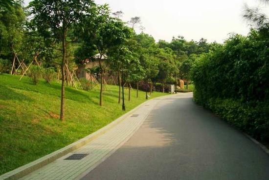 [路线]从白云山西门起步，到达摩星岭，再到达南门，然后原路返回全程22公里。