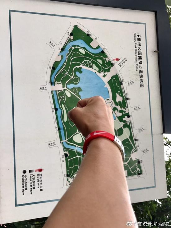 像不像一个大熨斗