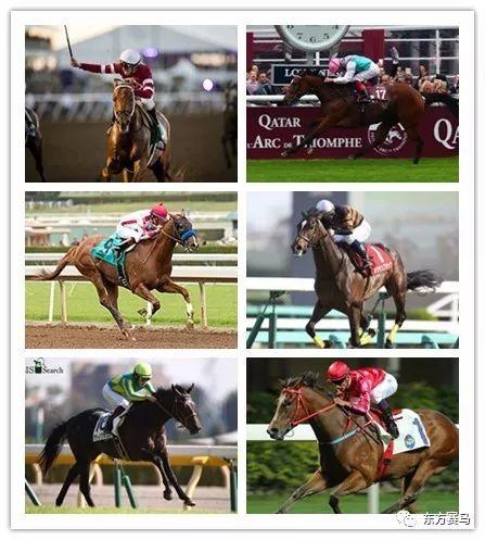 ▲‘铤而走险’（左上），‘唯才是举*’（右上），‘泰然自若*’（中左），‘北部玄驹’（中右），‘里见皇冠’（左下），‘红衣醒神’（右下）