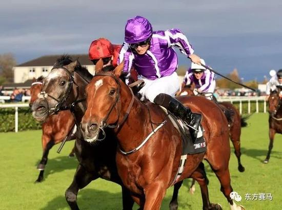 　　▲图/Racing Post，‘英国斗士*’