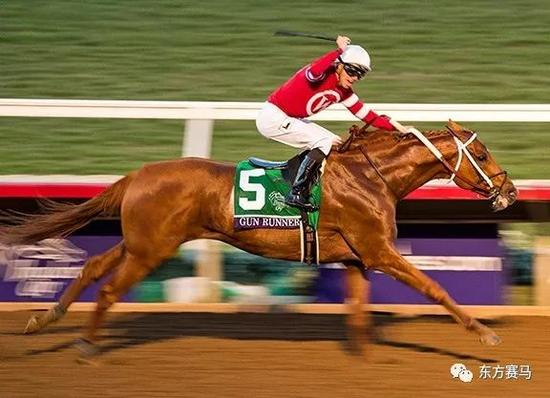▲图/Breeders‘ Cup，‘铤而走险’