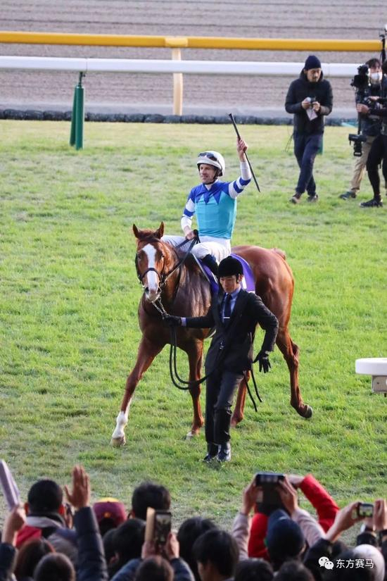 　▲图/nnpn789，‘高尚骏逸’