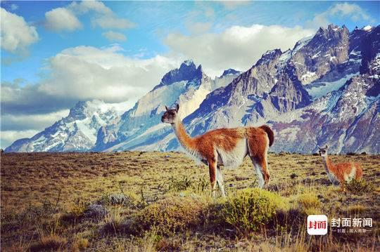 孜孜拍摄于智利百内国家公园