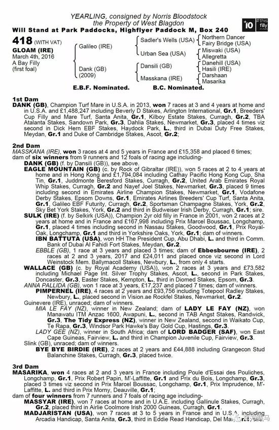 　　▲图/Tattersalls，最高价马血统