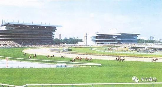 　▲图/香港赛马会&nbsp;