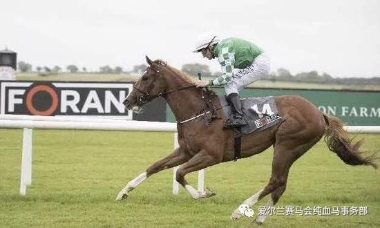 　　▲图/Healy Racing，‘玉龙仙子’