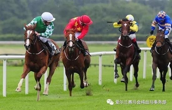 　▲图/Healy Racing，‘玉龙仙子’（左一）