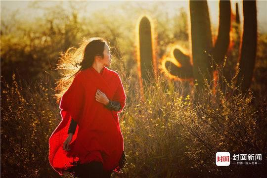 老虎拍摄于阿根廷