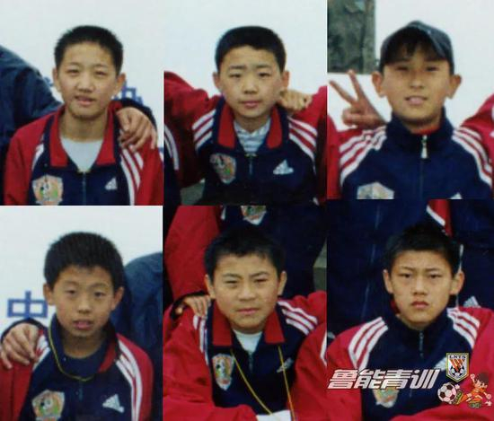 上排中间为栗鹏