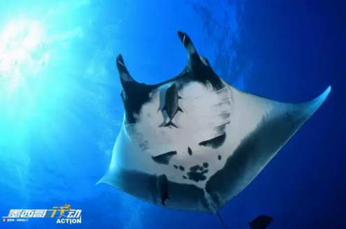 热情点赞：欧美媒体力挺中国户外玩家