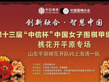 三国故地鲁沪巾帼争锋 全国女子围甲级联赛再战平原