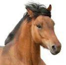 “突然”的动作