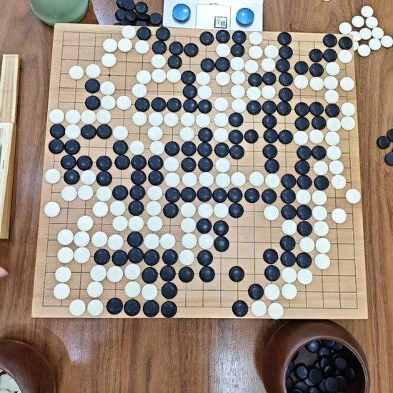 蔡静鹏(执黑)4d+ vs 张弢(执白)6d