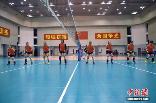 资料图：中国女排训练中。中新网记者 金硕 摄