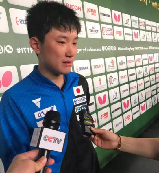 张本智和赛后流泪。