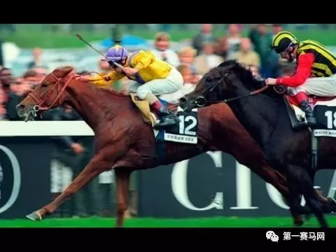 “海都市”，网络配图。