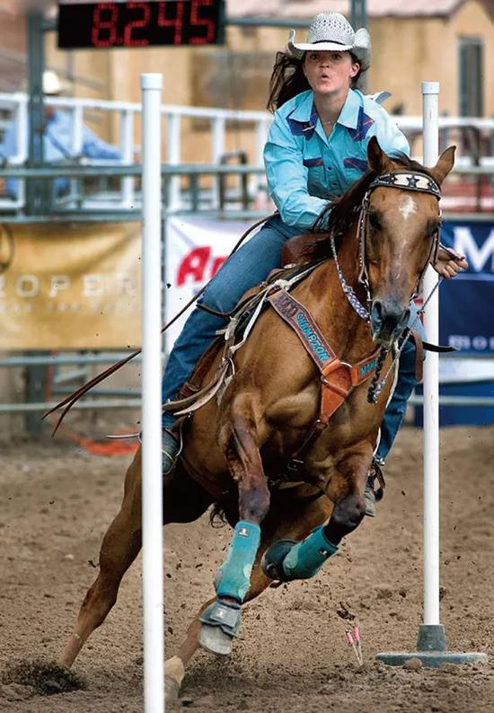 美国青少年西部马术概况