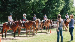 学马术，你会选小组课还是一对一？